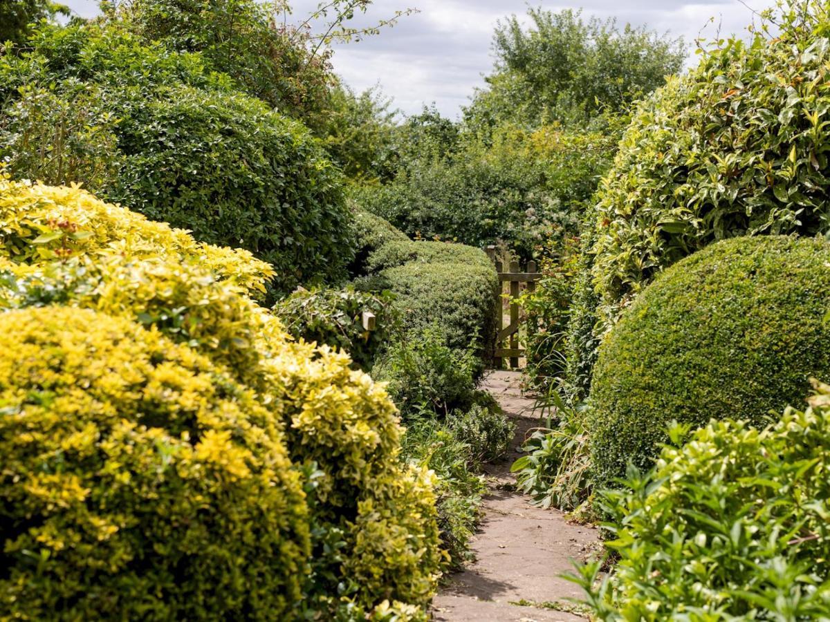 Pass The Keys Cosy Cottage With Views Over The Shropshire Hills Ludlow Exterior photo